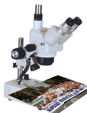 Analisis de manifestaciones