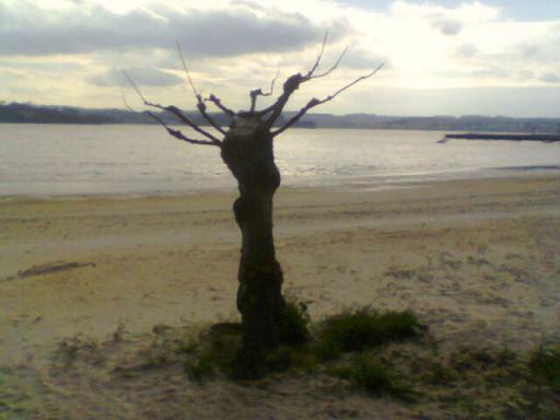 playa-de-la-ribera.jpg