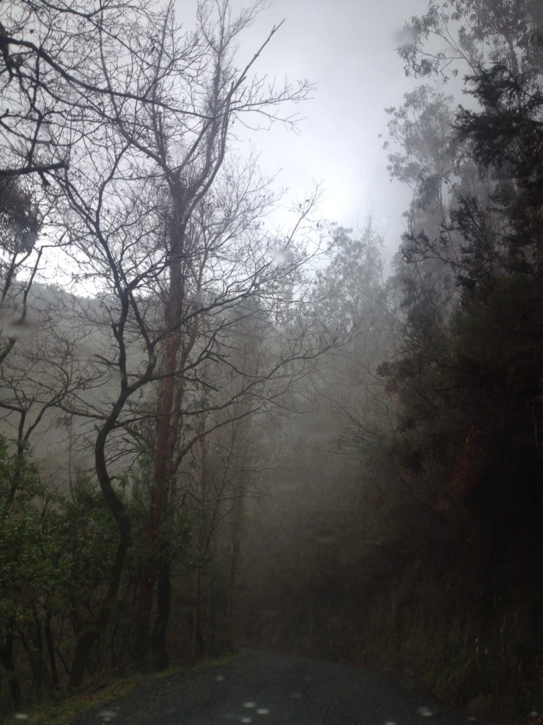 Fragas con niebla